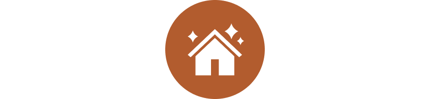 Clean store icon