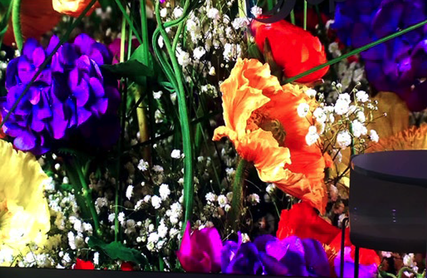 3D resolution set of panels showing flowers in a large wall display