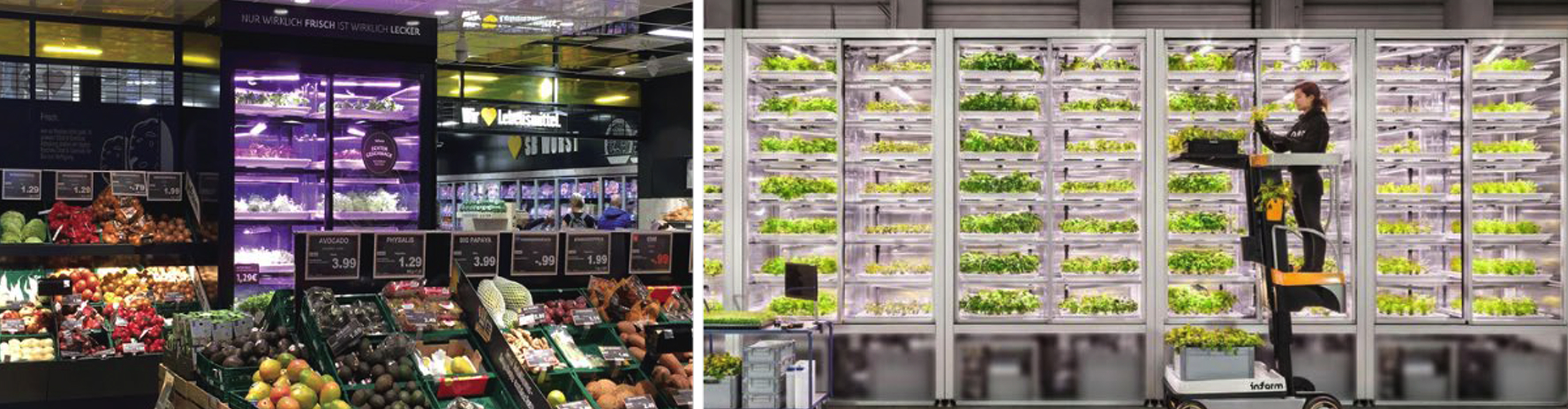  Two-panel image showing operations inside Infarm grocery store. Left side shows Infarm produce section with fresh fruits and vegetables and a vertical hydroponic farming unit. Right side shows a high-tech indoor vertical farming system with stacked trays of leafy greens. A person in a black outfit labeled "infarm" is elevated on a lift tending to the crops.